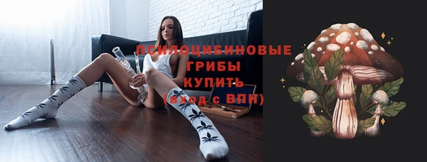 альфа пвп Каменногорск