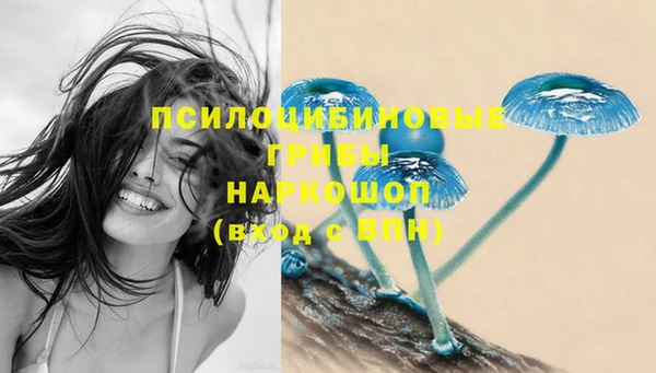 MDMA Premium VHQ Волосово