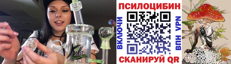 Галлюциногенные грибы Psilocybine cubensis  Иланский 